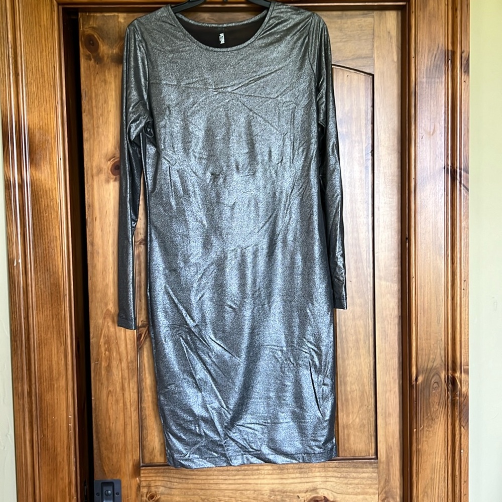 Metallic sheer silver long sleeve dress with black strapless underdress